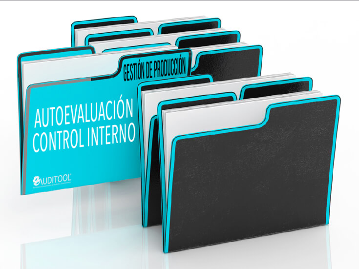 Autoevaluación del Sistema de Control Interno de un Programa de Gestión de Producción