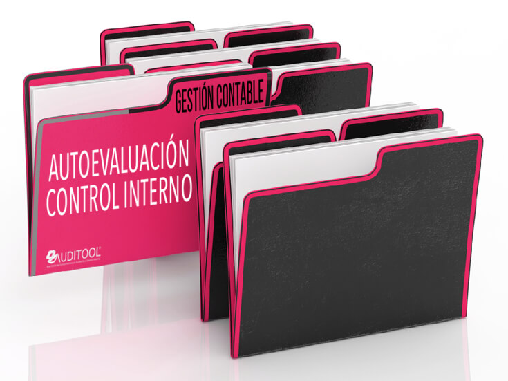 Autoevaluación del Sistema de Control Interno de un Proceso de Gestión Contable