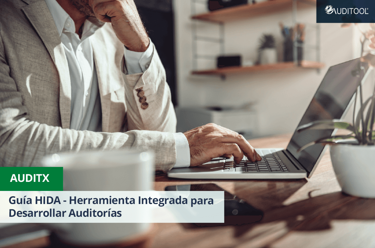 Guía HIDA - Herramienta Integrada para Desarrollar Auditorías
