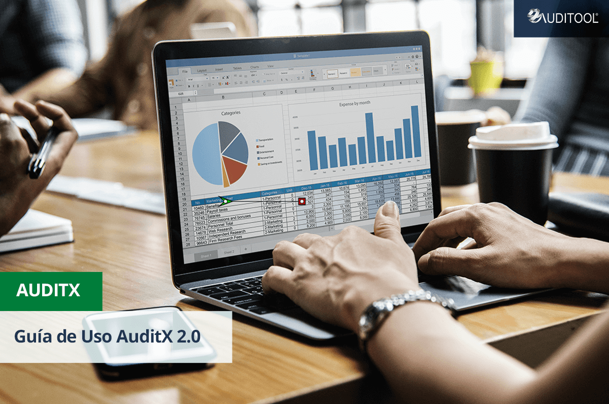 Guía de Uso AuditX 2.1