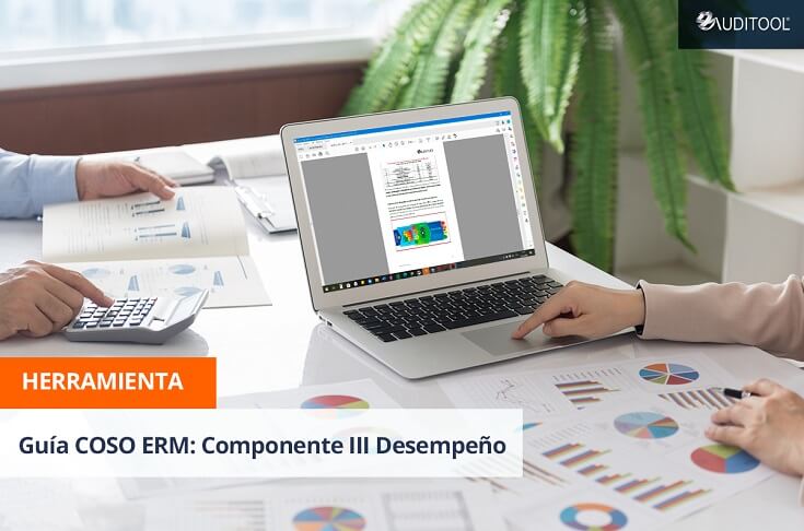 Guía COSO ERM: Componente III Desempeño