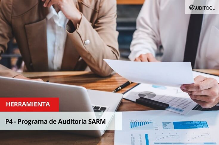 P4 - Programa de Auditoría SARM