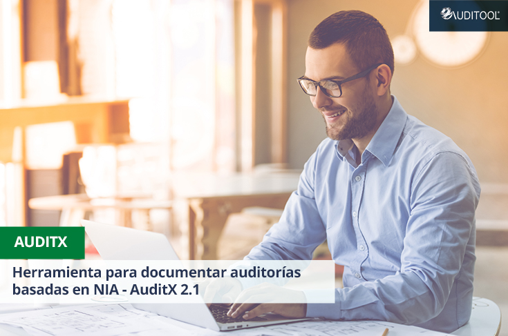 Herramienta para documentar auditorías basadas en NIA - AuditX 2.1