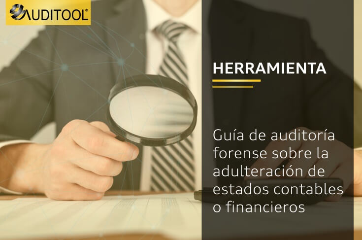 Guía de auditoría forense sobre la adulteración de estados contables o financieros