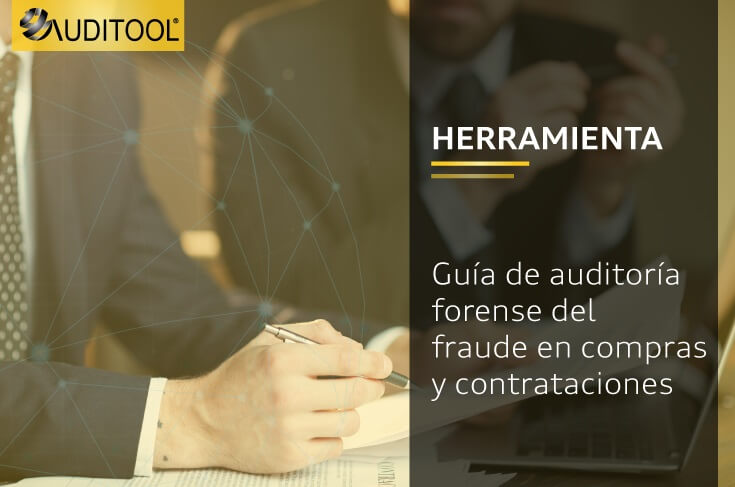 Guía de auditoría forense del fraude en compras y contrataciones
