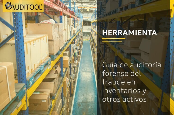 Guía de auditoría forense del fraude en inventarios y otros activos